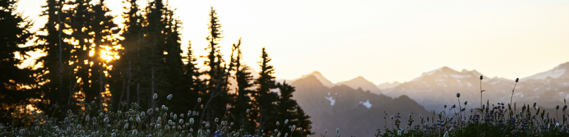 Sunset over the Olympic Mountains